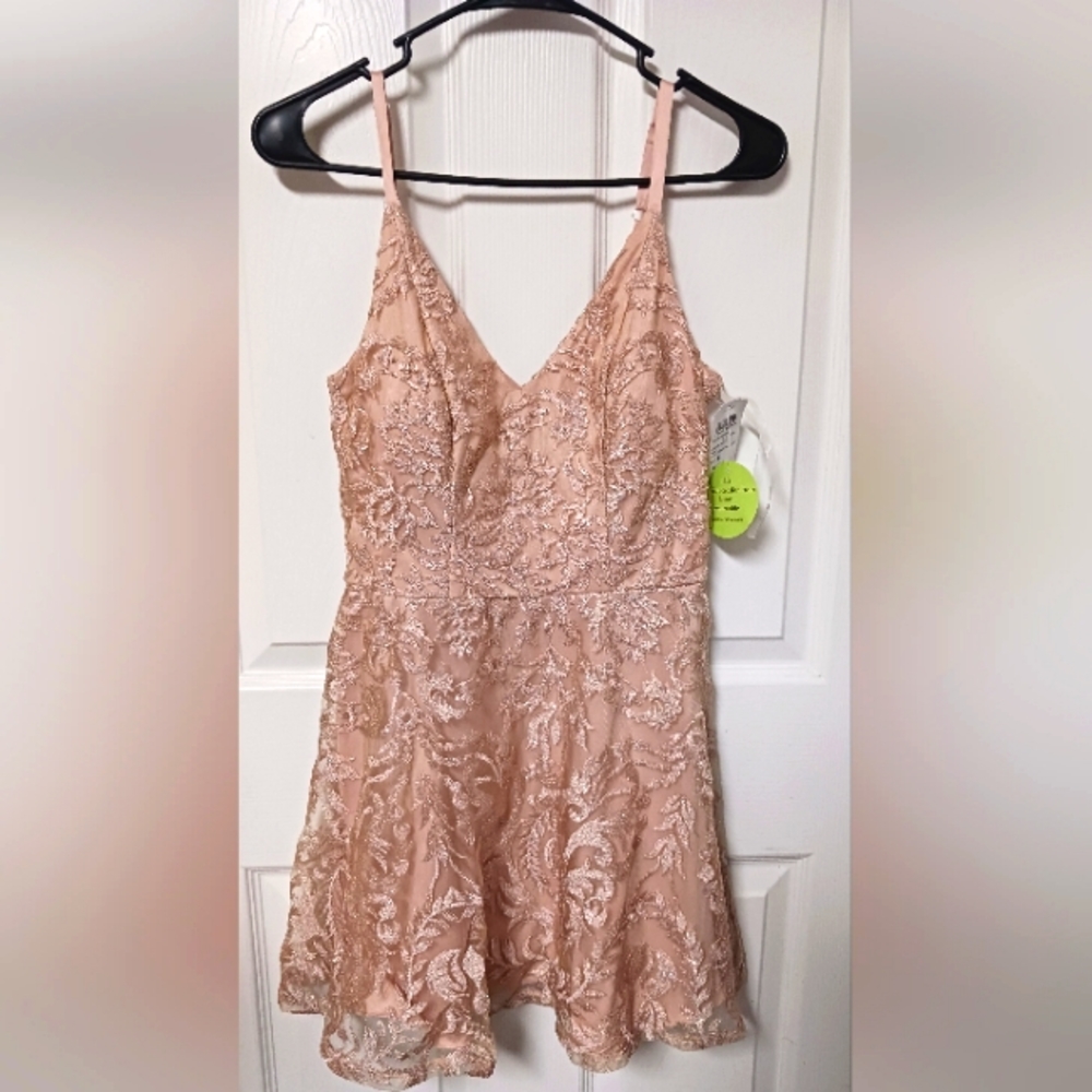 Windsor size 5 dress